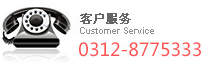 0312-8775333